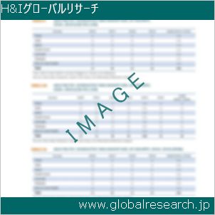 グローバルリサーチ調査レポートのイメージ